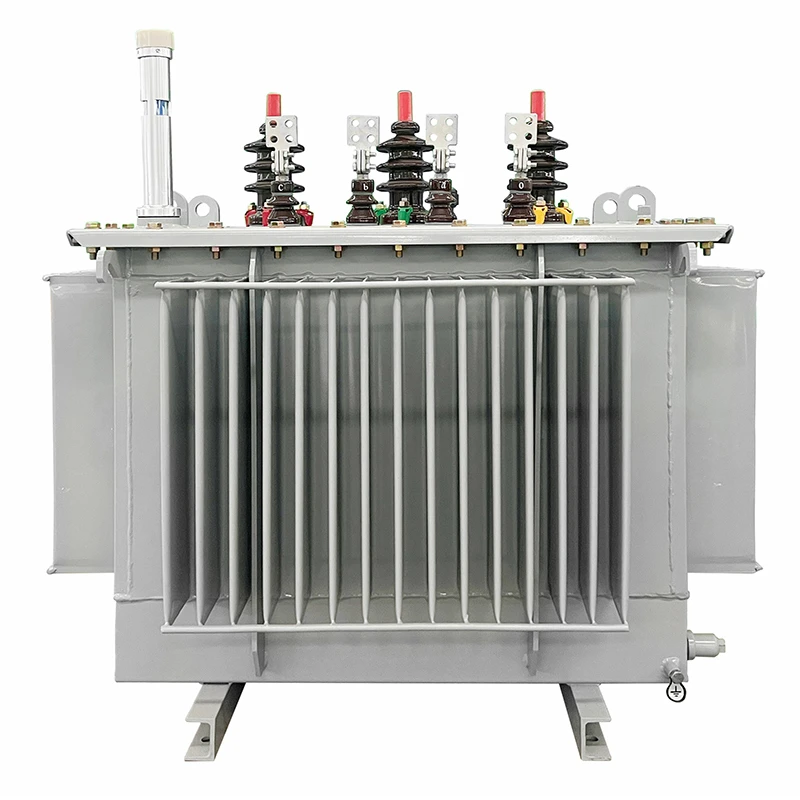 ترانسفورماتور توزیع کوچک 250kVA 30kV
